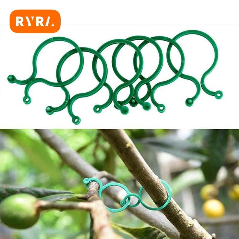 RYRA- Ŭ   Ŭ   귡Ŷ  50 ,  Ĺ Ȧ    Ĺ 귡Ŷ